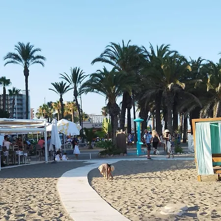 Calidad, Terraza Y Piscina A 500m De La Playa * Torremolinos